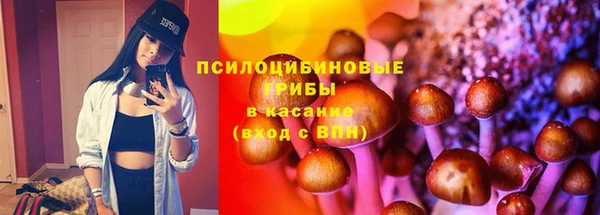 крисы Верея