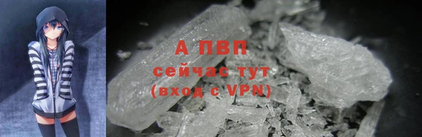 крисы Верея