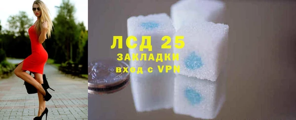 PSILOCYBIN Верхний Тагил