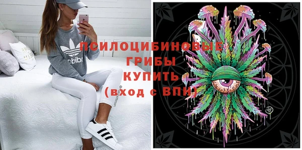 крисы Верея