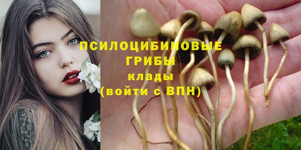 крисы Верея