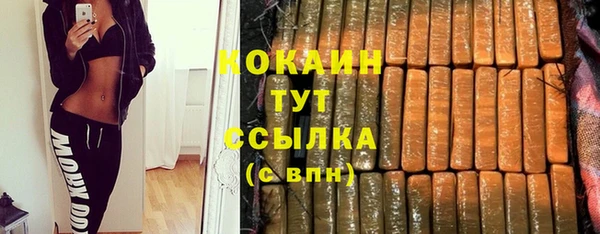 PSILOCYBIN Верхний Тагил