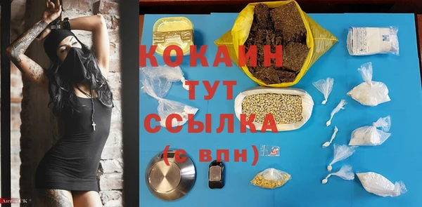 PSILOCYBIN Верхний Тагил