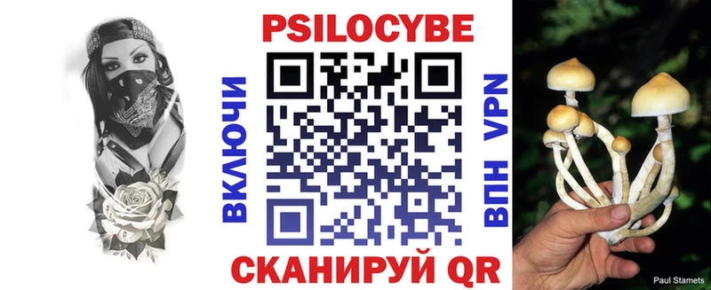 Галлюциногенные грибы Cubensis  где найти наркотики  Вышний Волочёк 